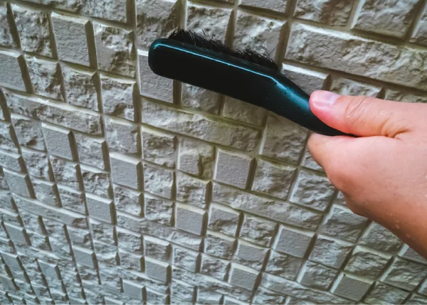 外壁防藻・防カビイメージ