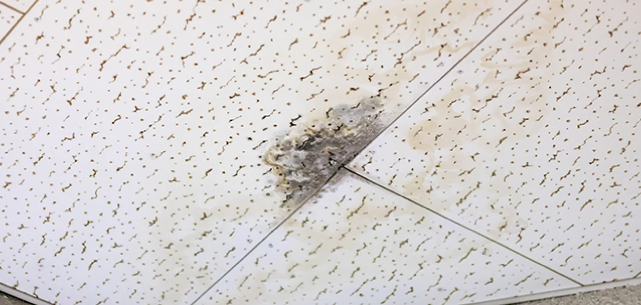 雨漏り修理Beforeイメージ