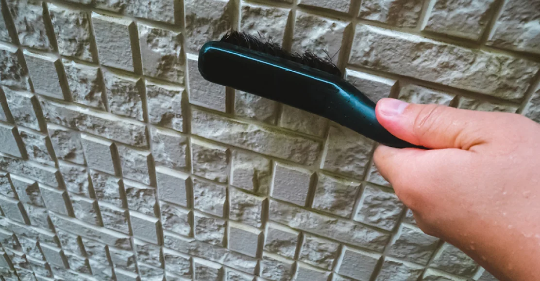 外壁防藻・防カビのイメージ